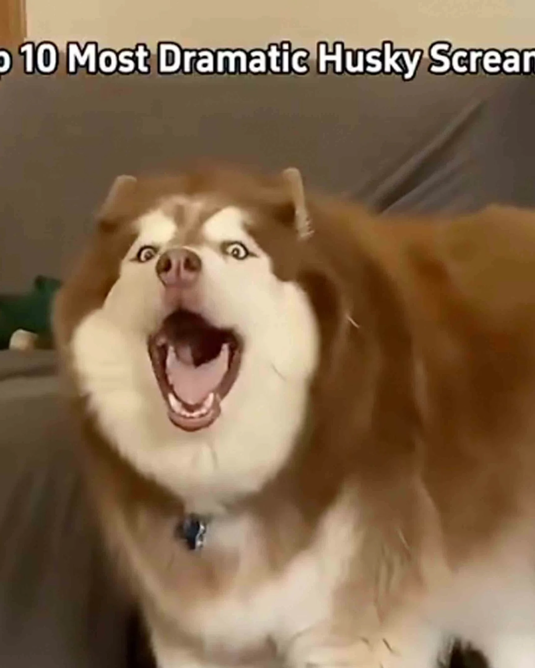 Daily Smile: Thursday, January 22, 2026