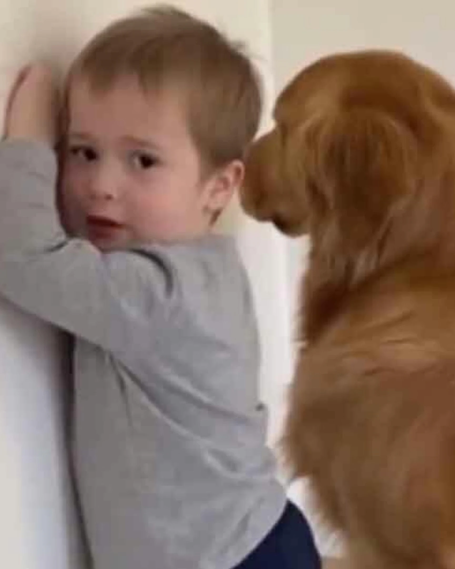 Daily Smile: Saturday, January 24, 2026