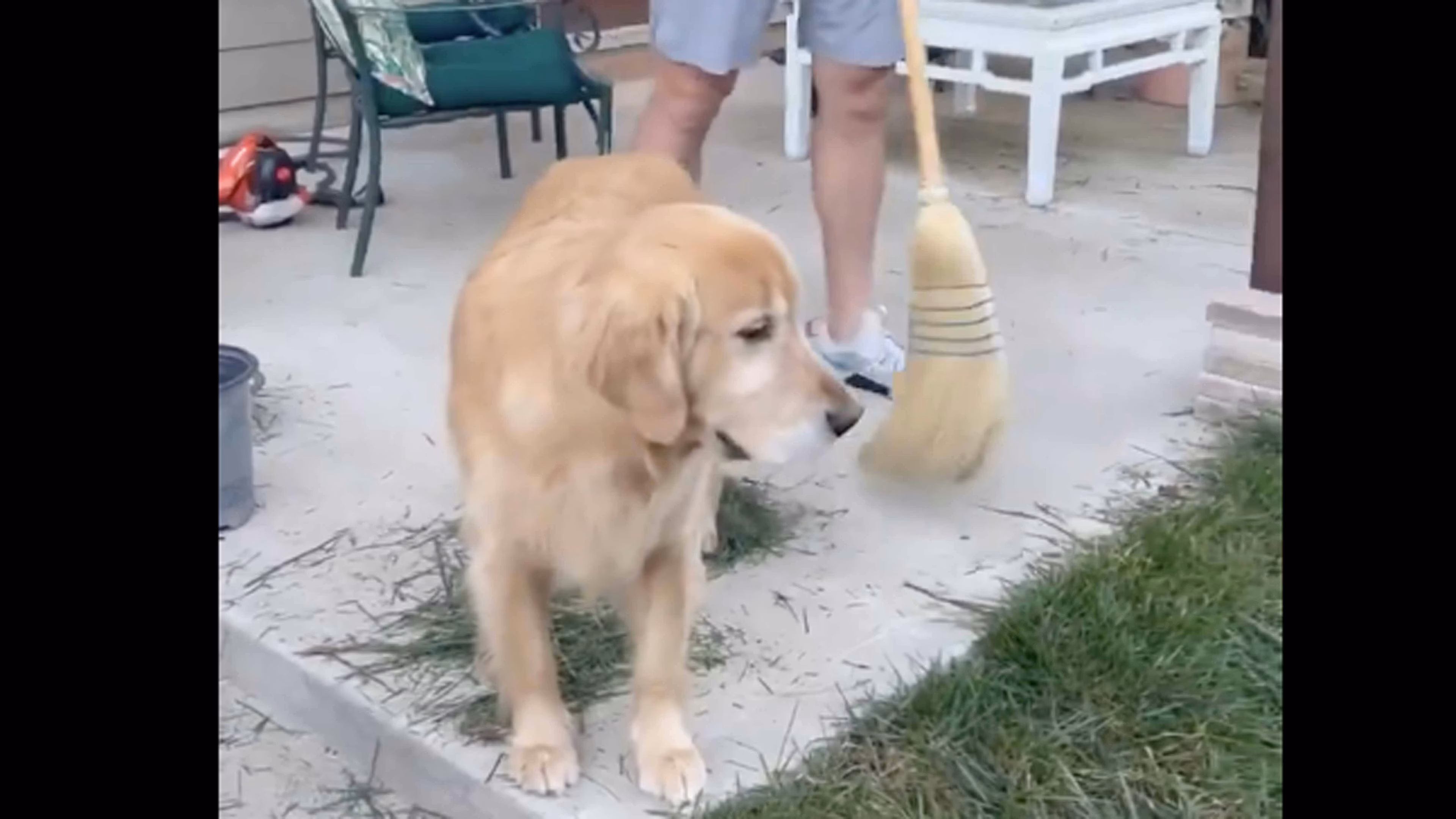 @buitengebieden on X