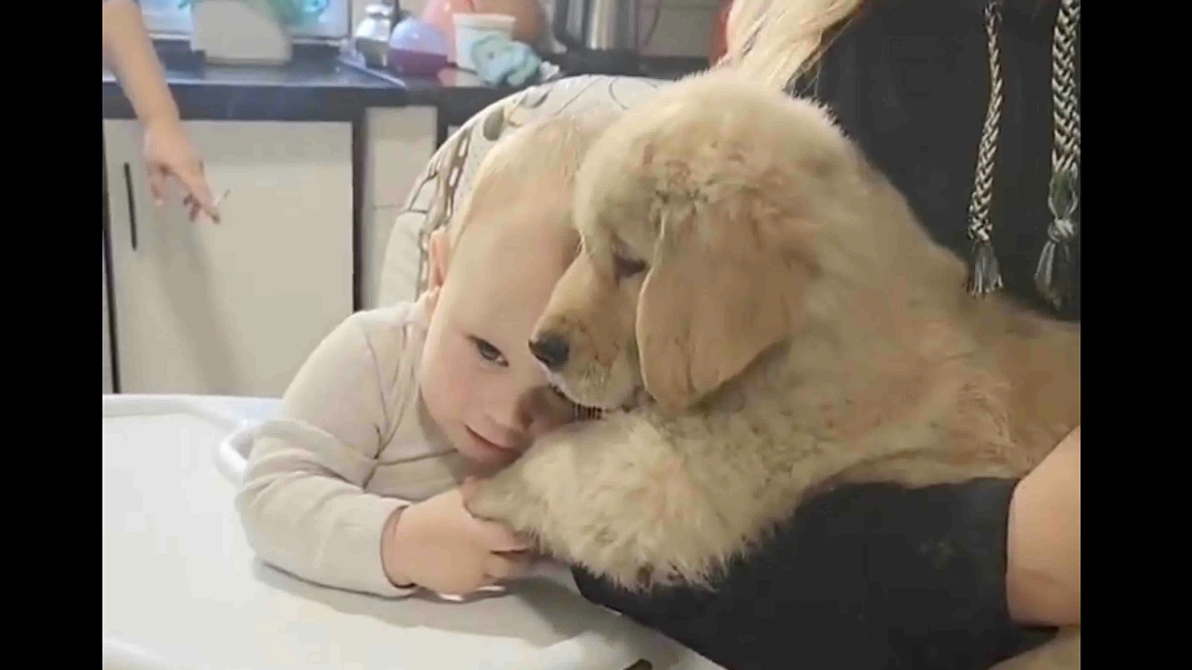 Daily Smile: Tuesday, January 27, 2026