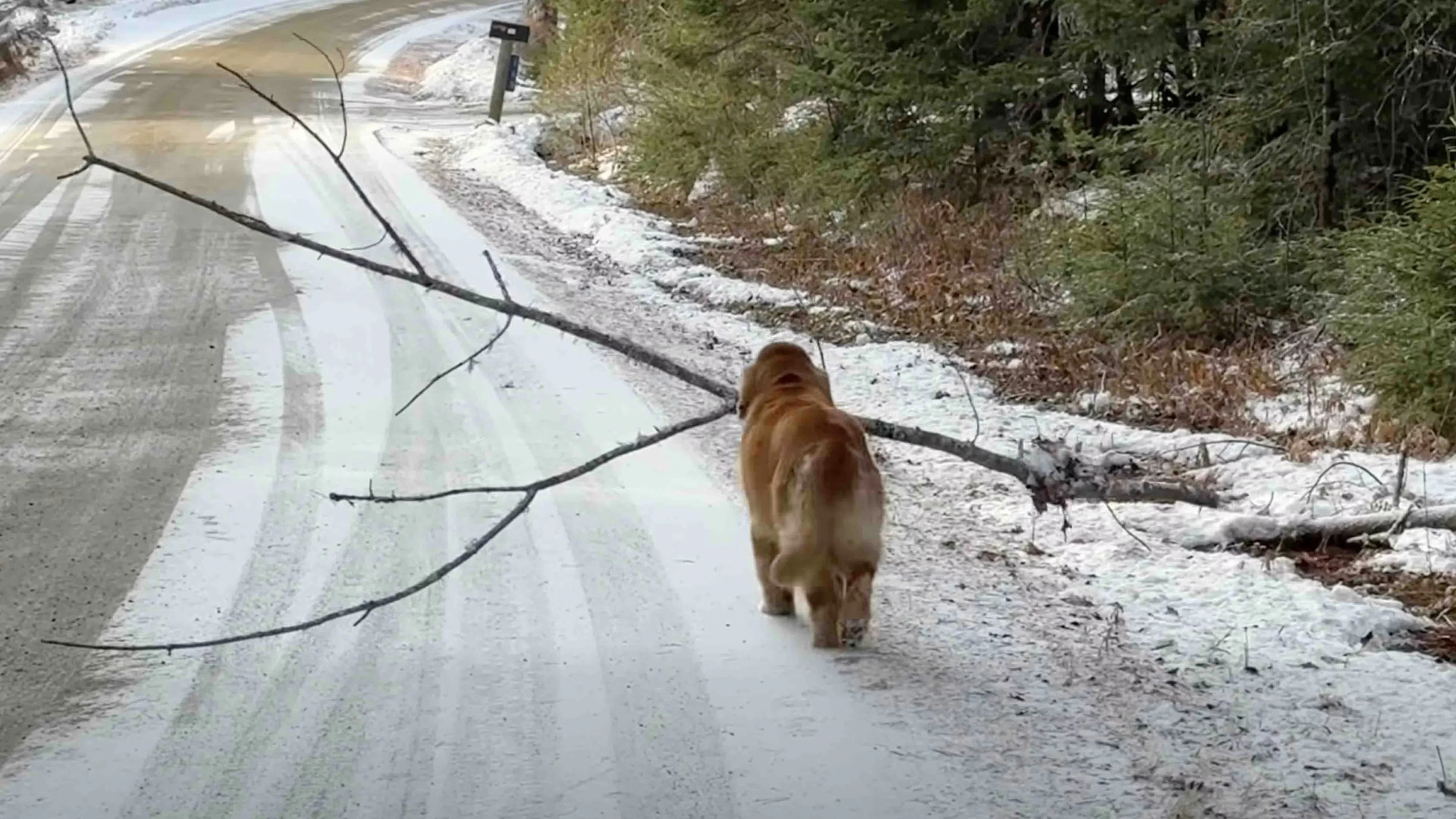 Daily Smile: Wednesday, January 28, 2026