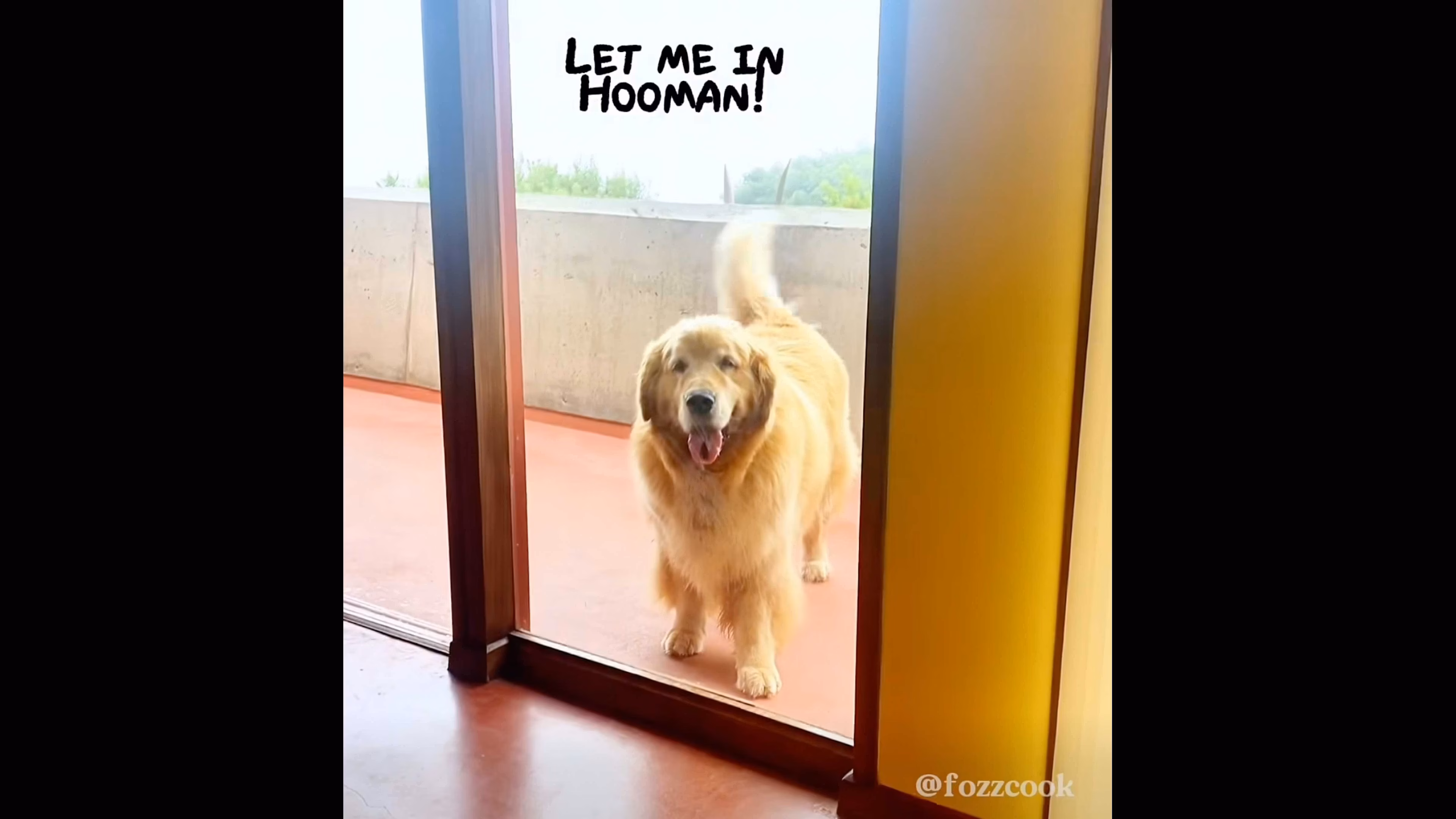 @DailyFeatures on YouTube