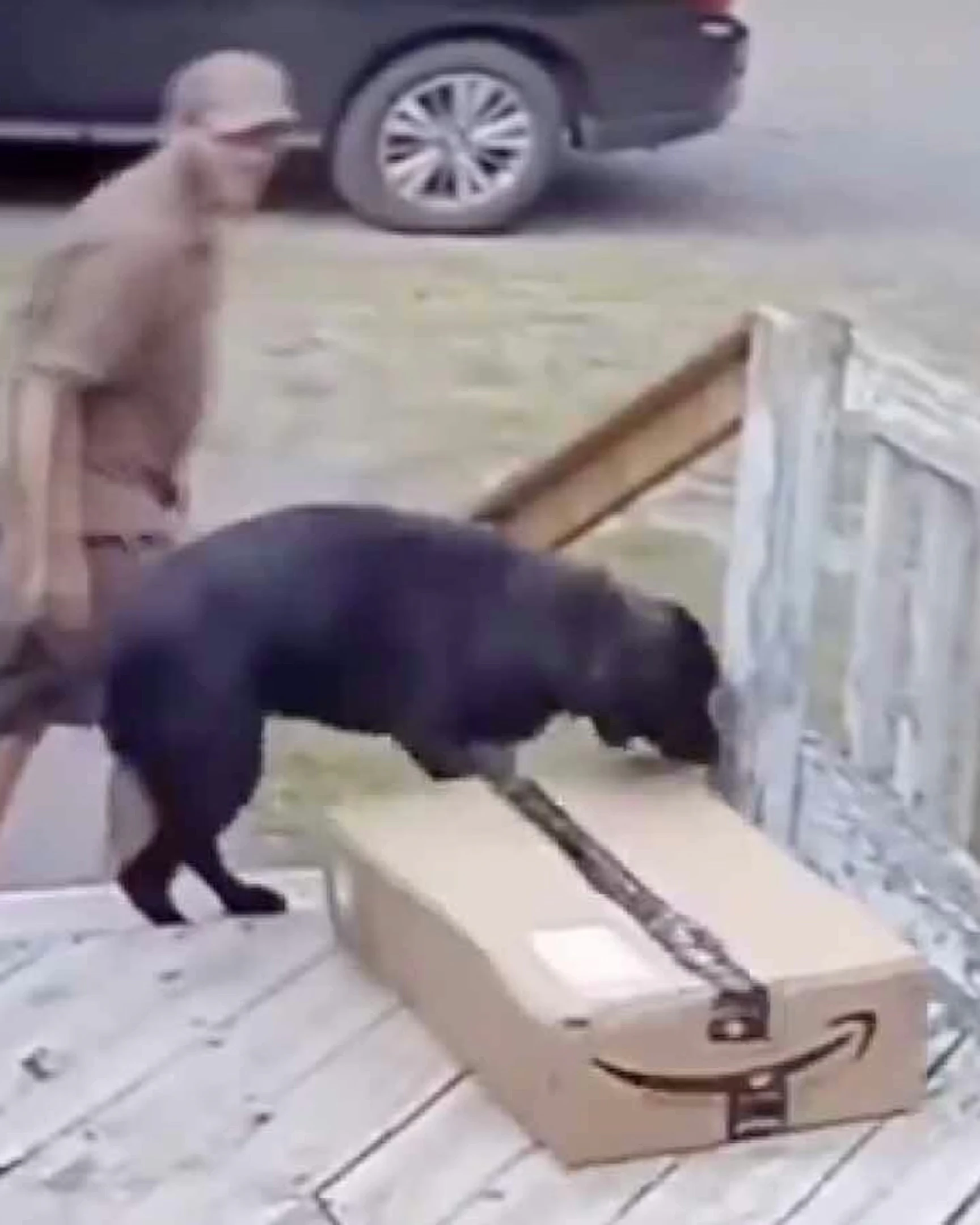 Daily Smile: Wednesday, February 11, 2026