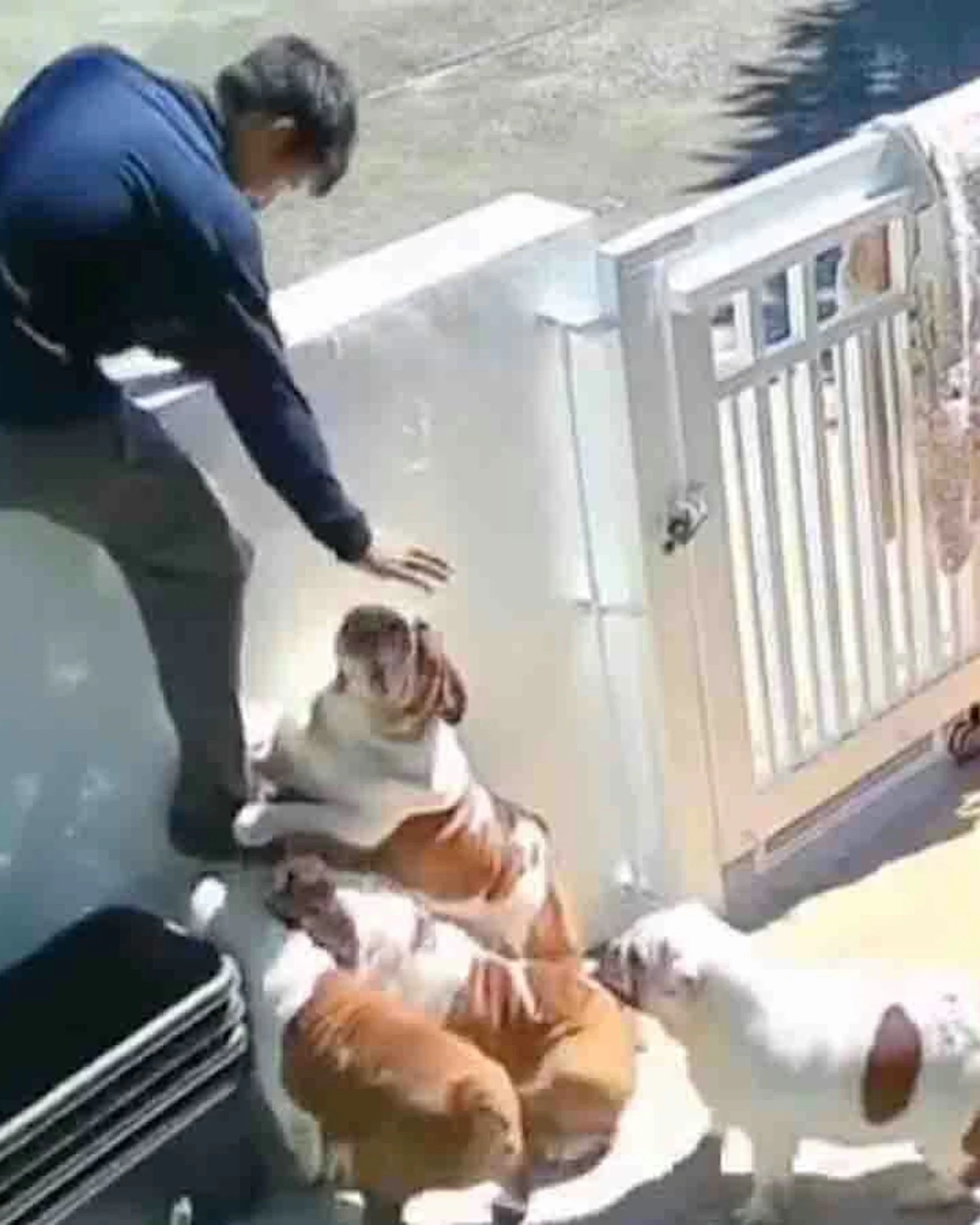 Daily Smile: Thursday, February 12, 2026