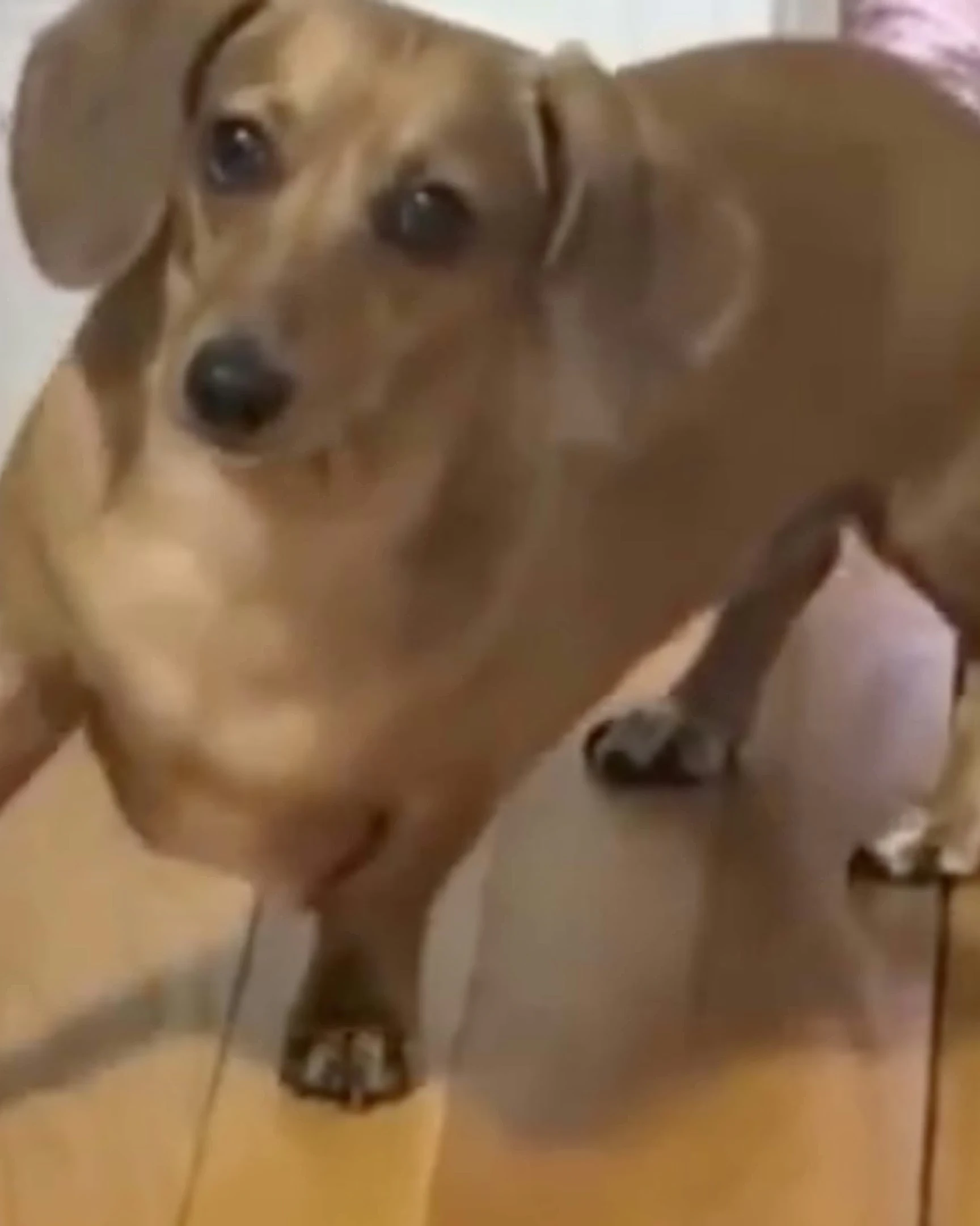 Daily Smile: Monday, February 2, 2026