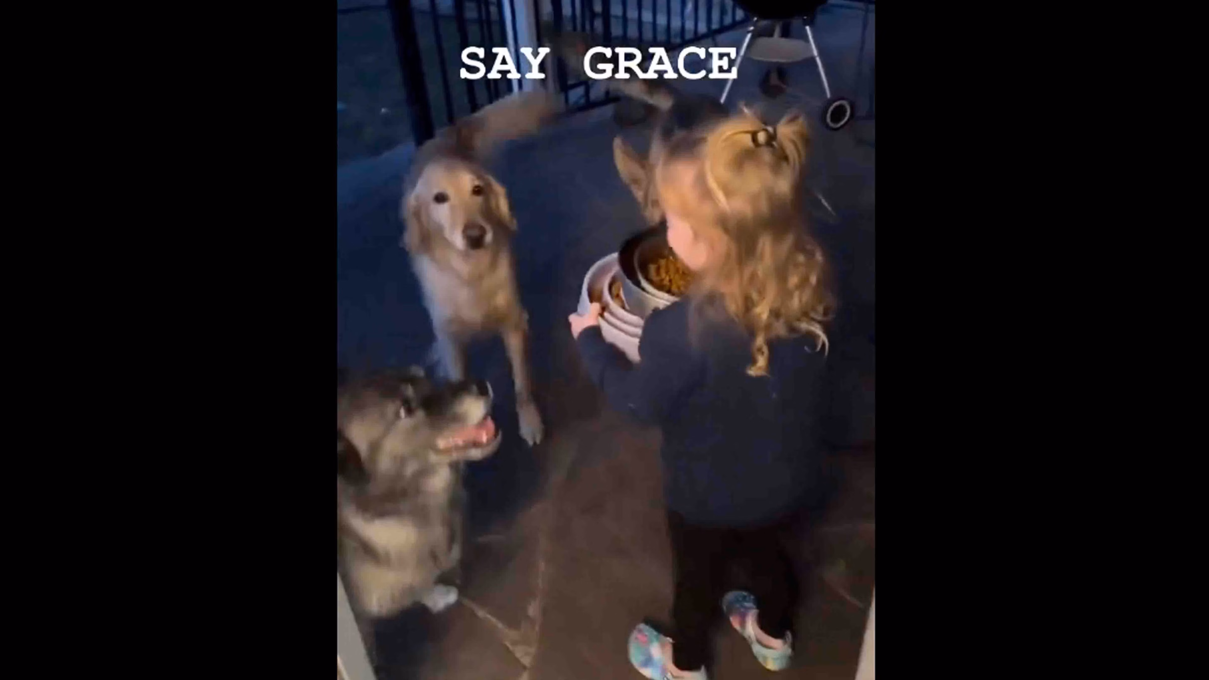 Daily Smile: Friday, February 20, 2026