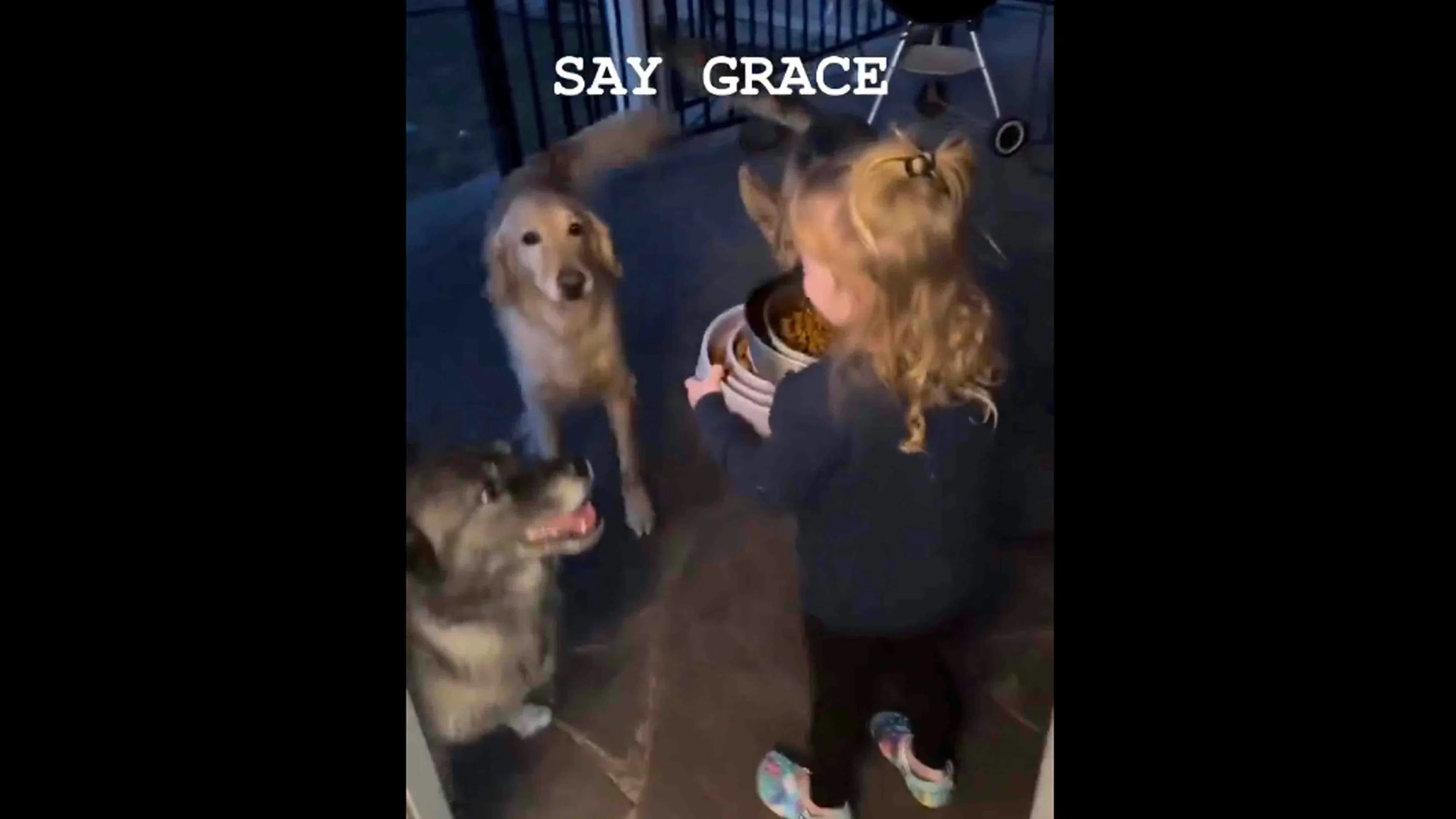 Daily Smile: Friday, February 20, 2026