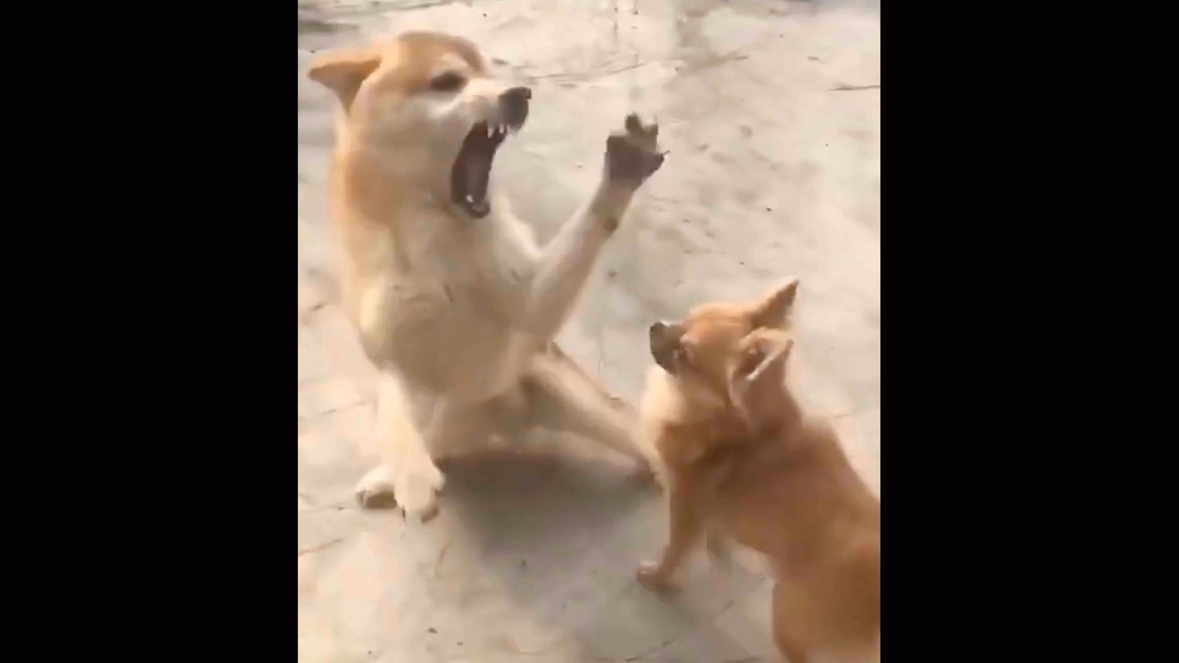 Daily Smile: Saturday, February 21, 2026