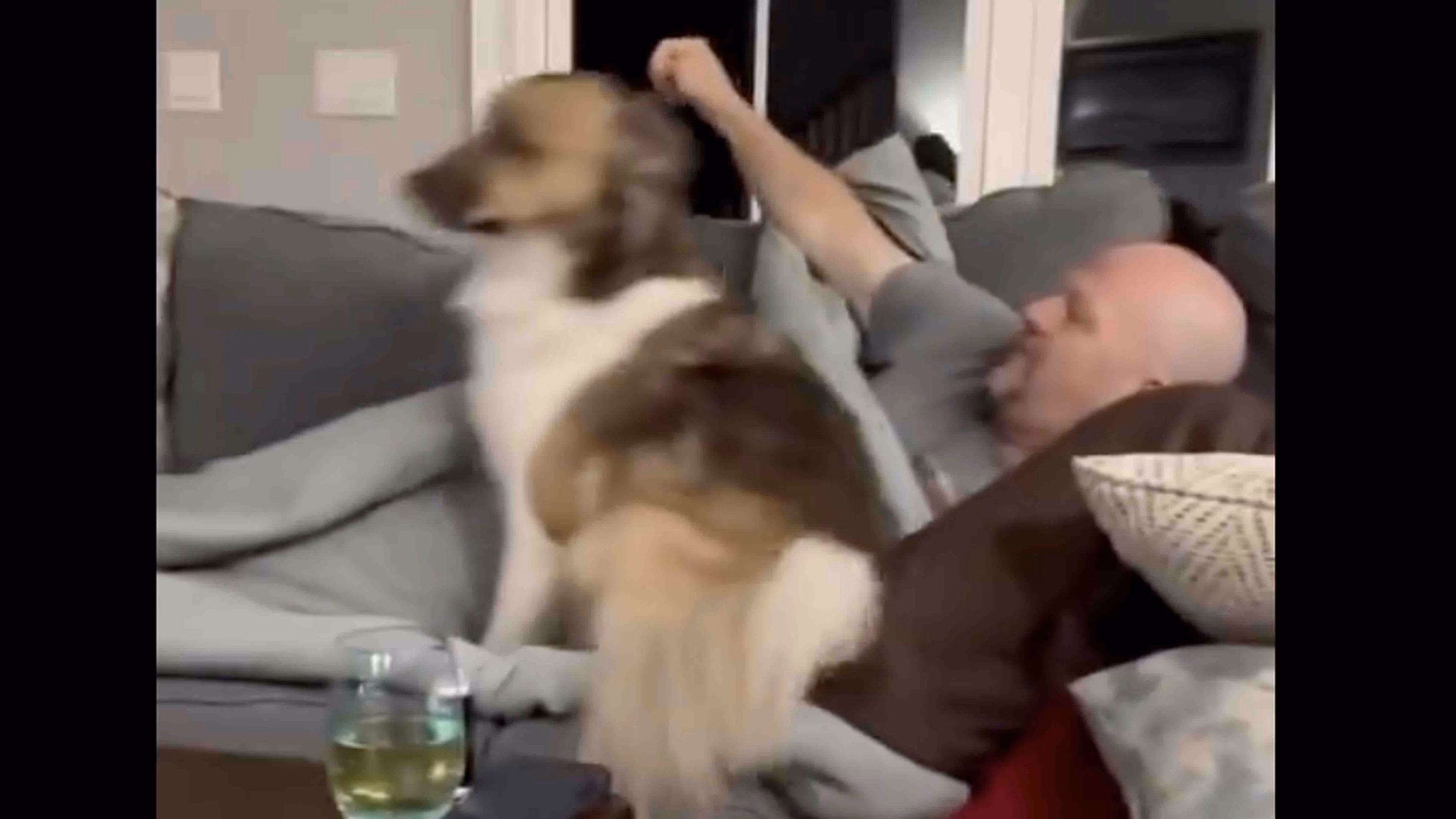 @HumansNoContext on X