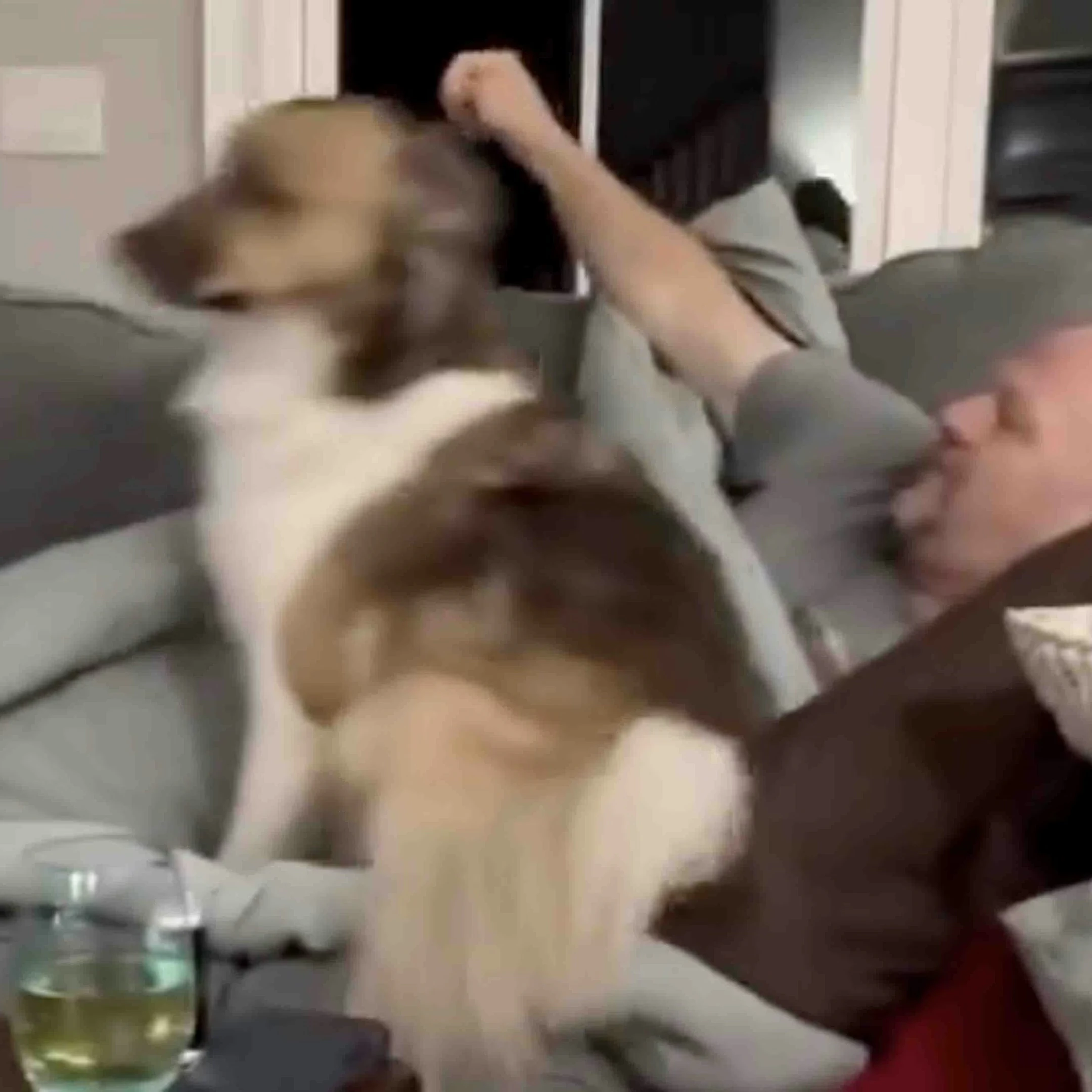 @HumansNoContext on X