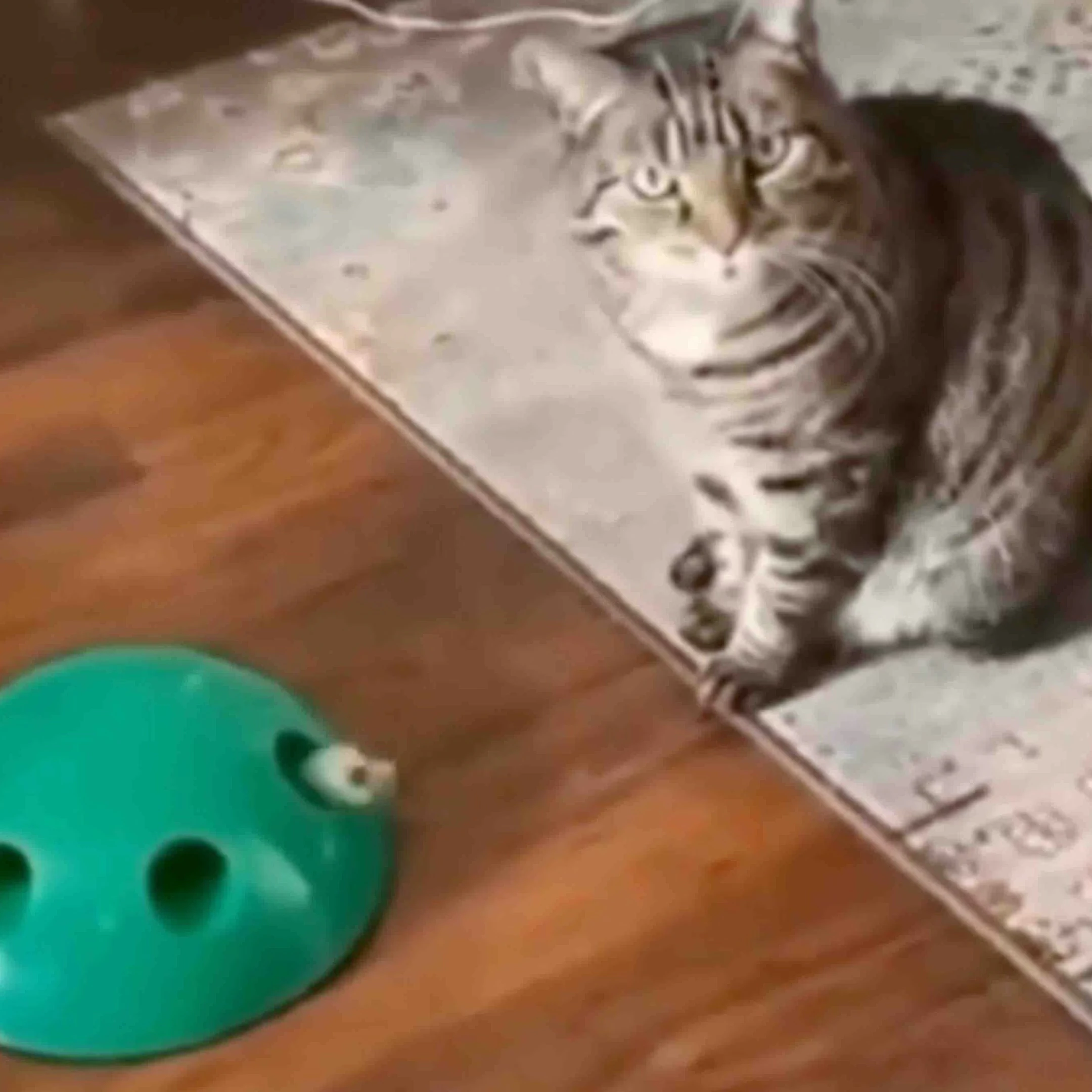 @buitengebieden on X