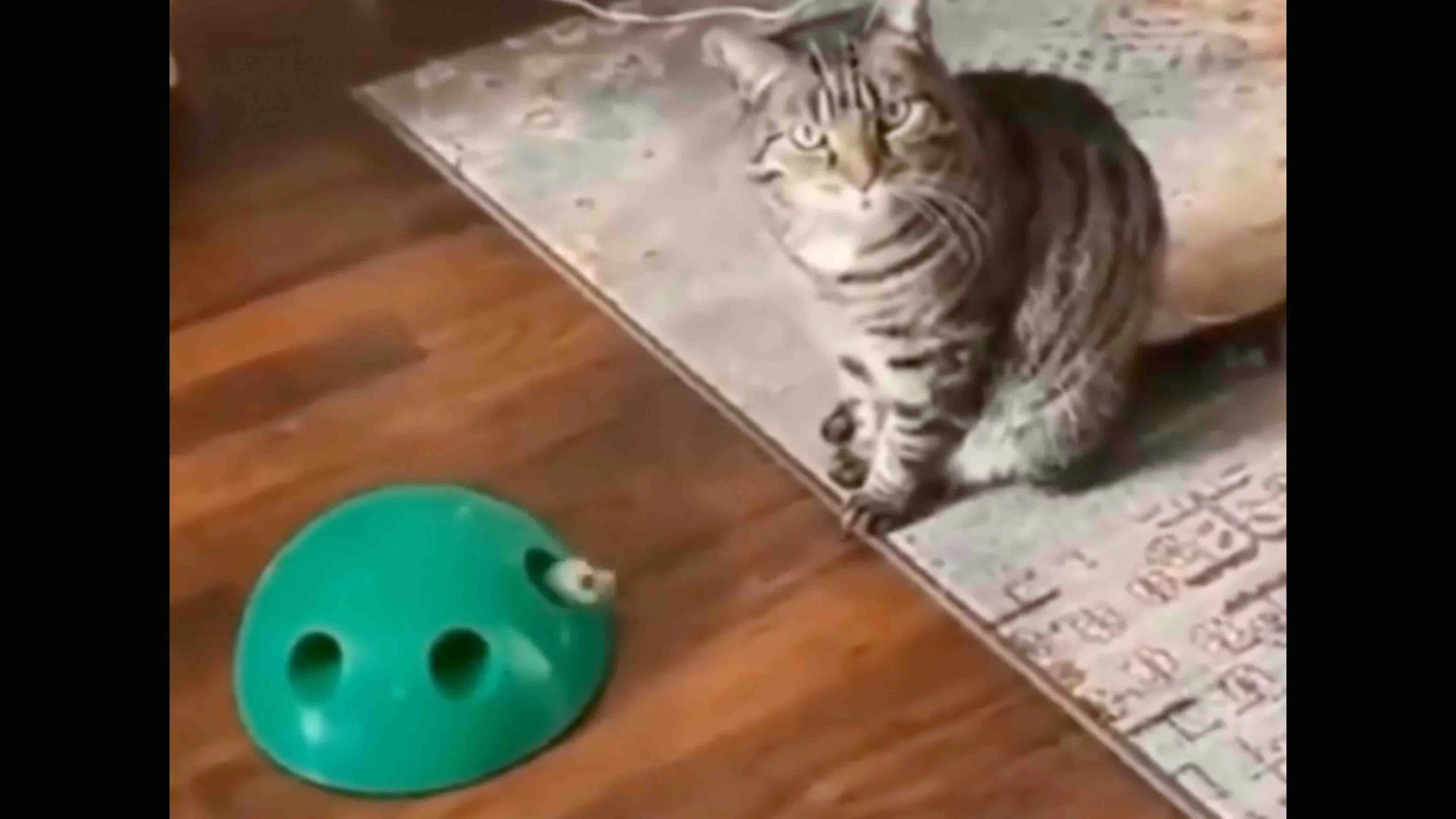 @buitengebieden on X