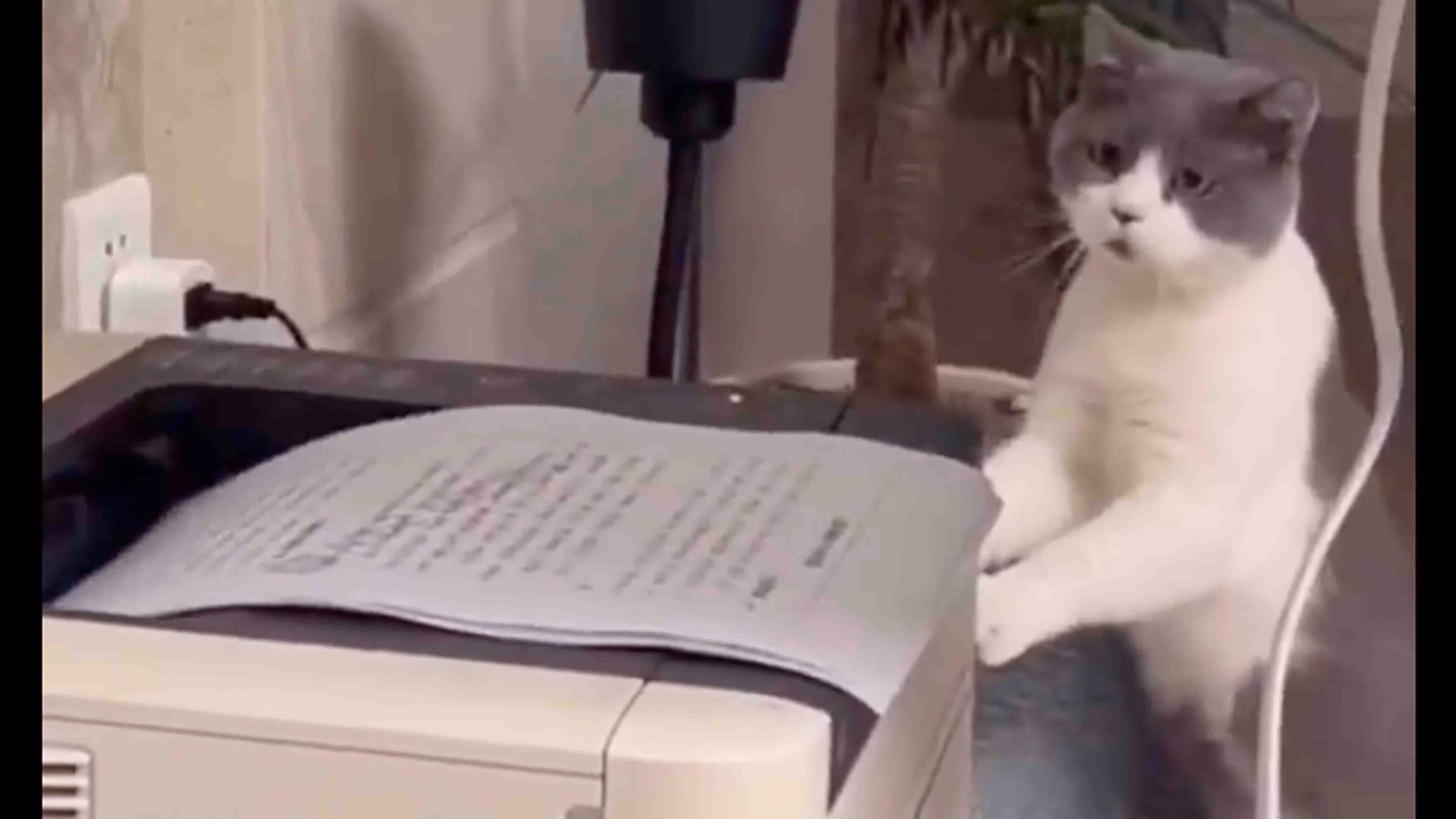 @depressionlesss on X