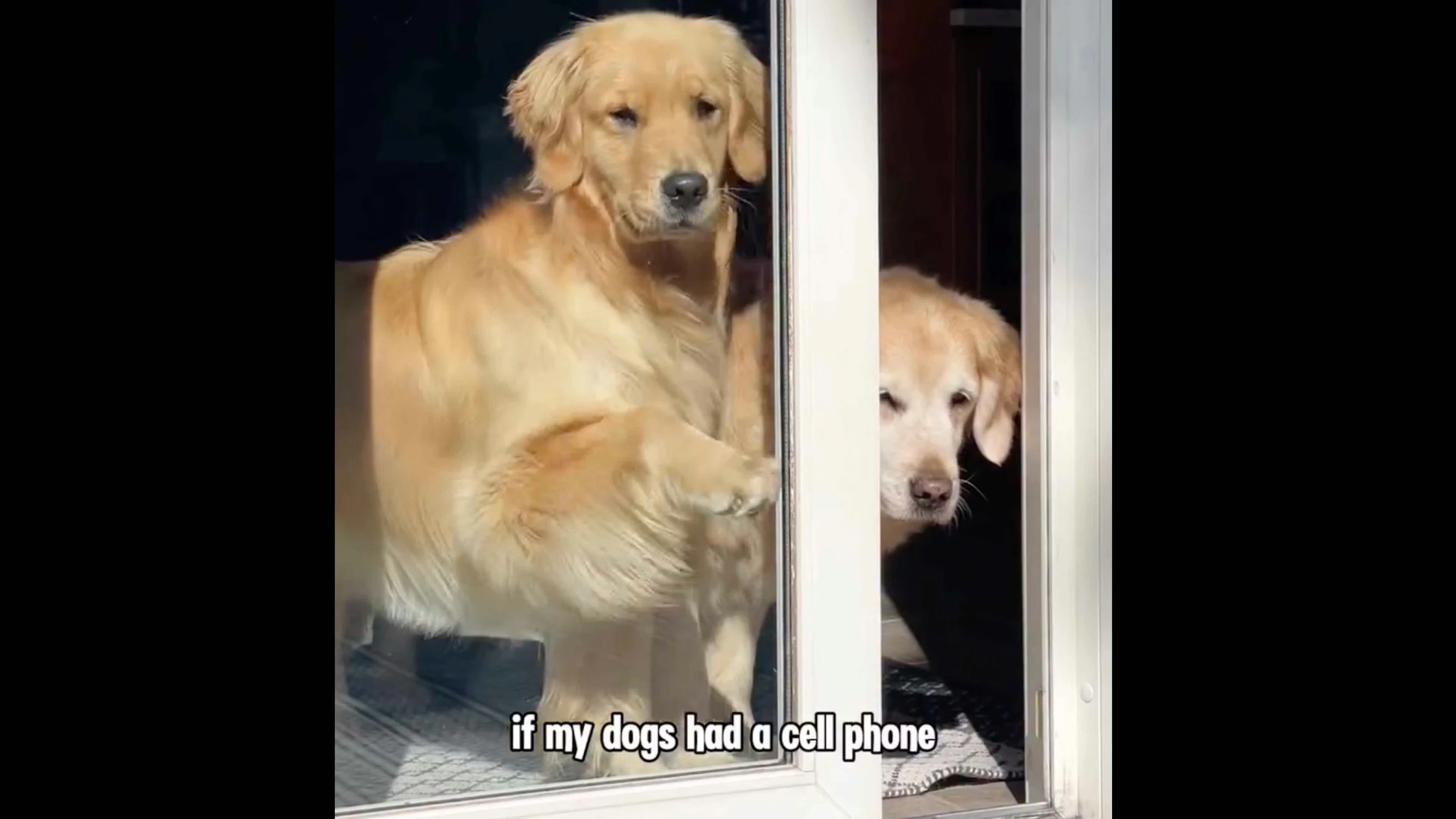 @DailyFeatures on YouTube