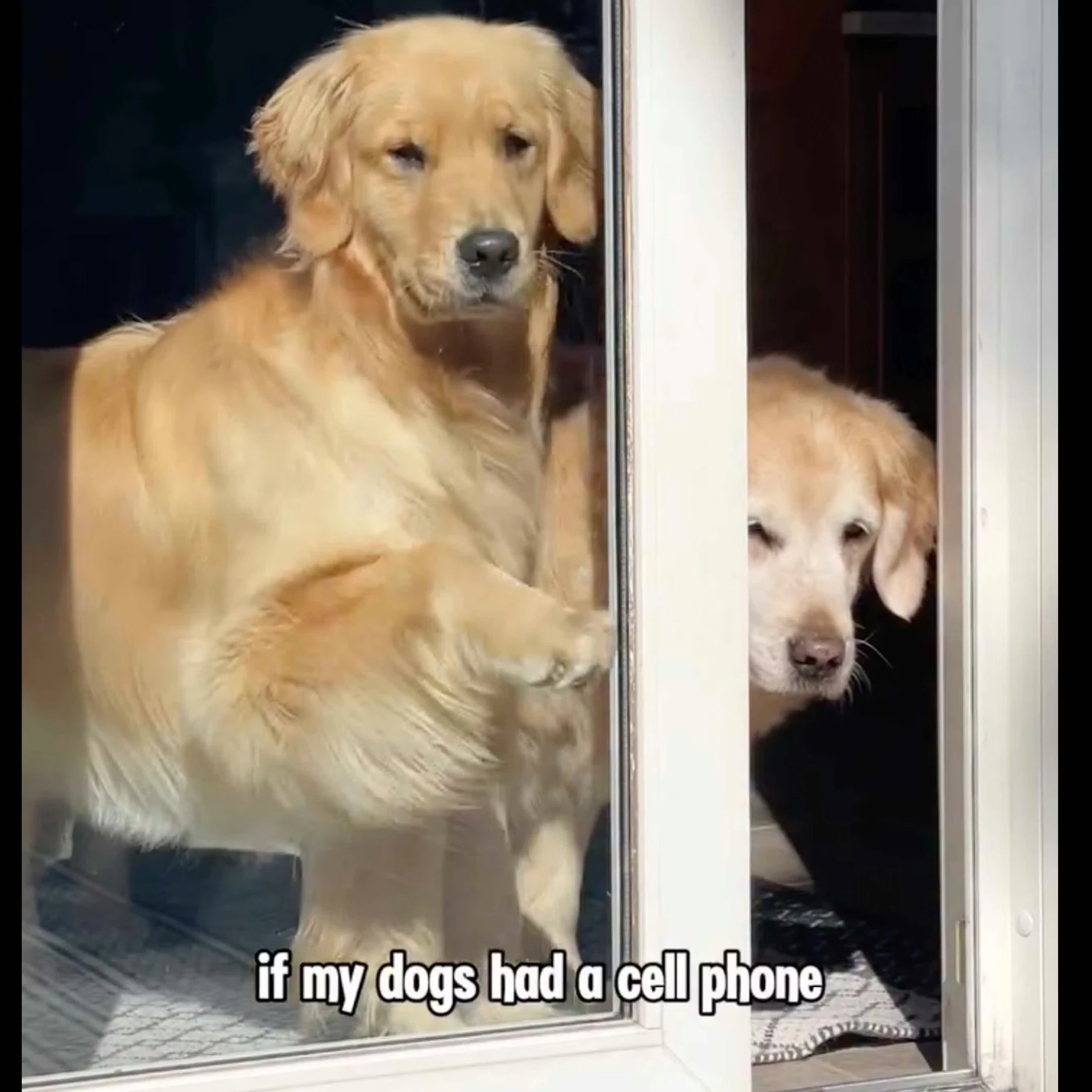 @DailyFeatures on YouTube