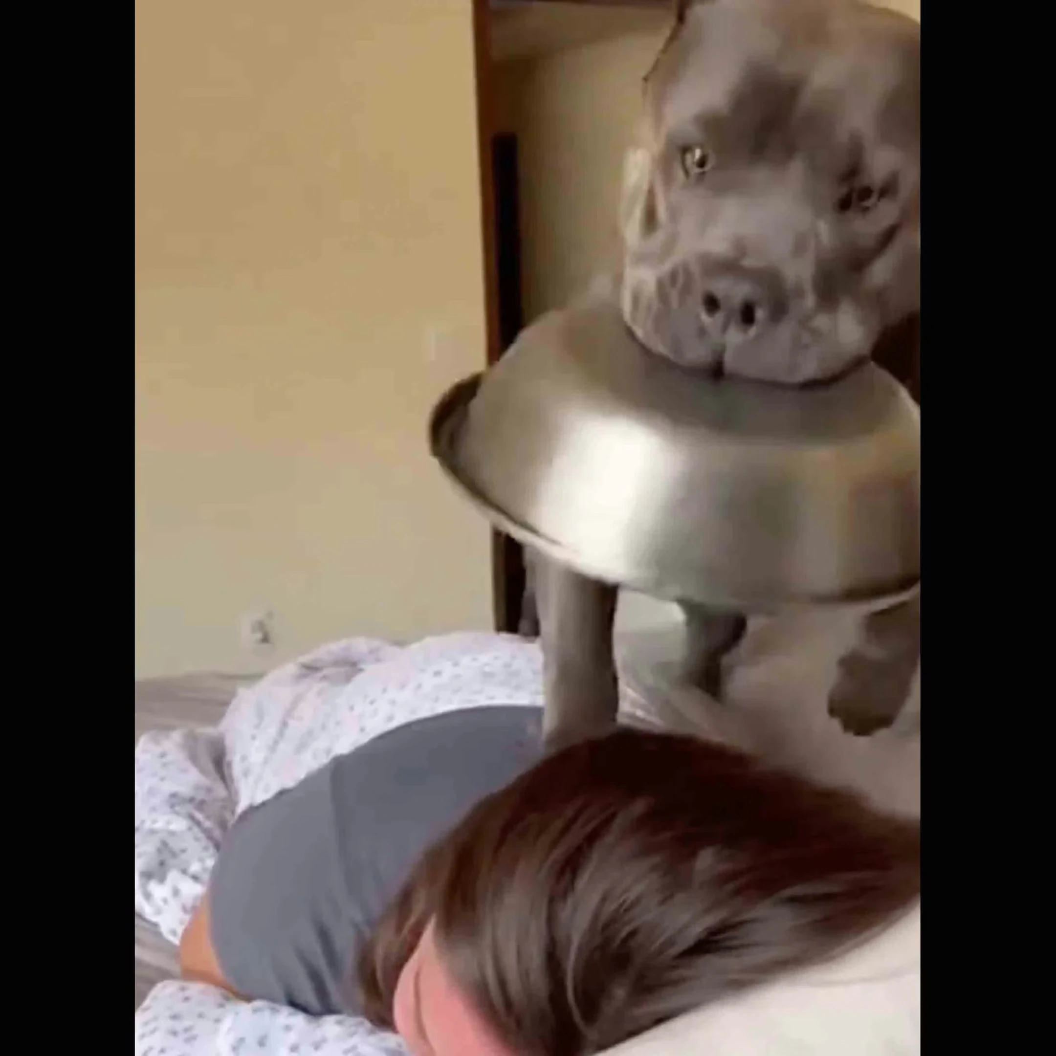 @cowboystatedaily on YouTube