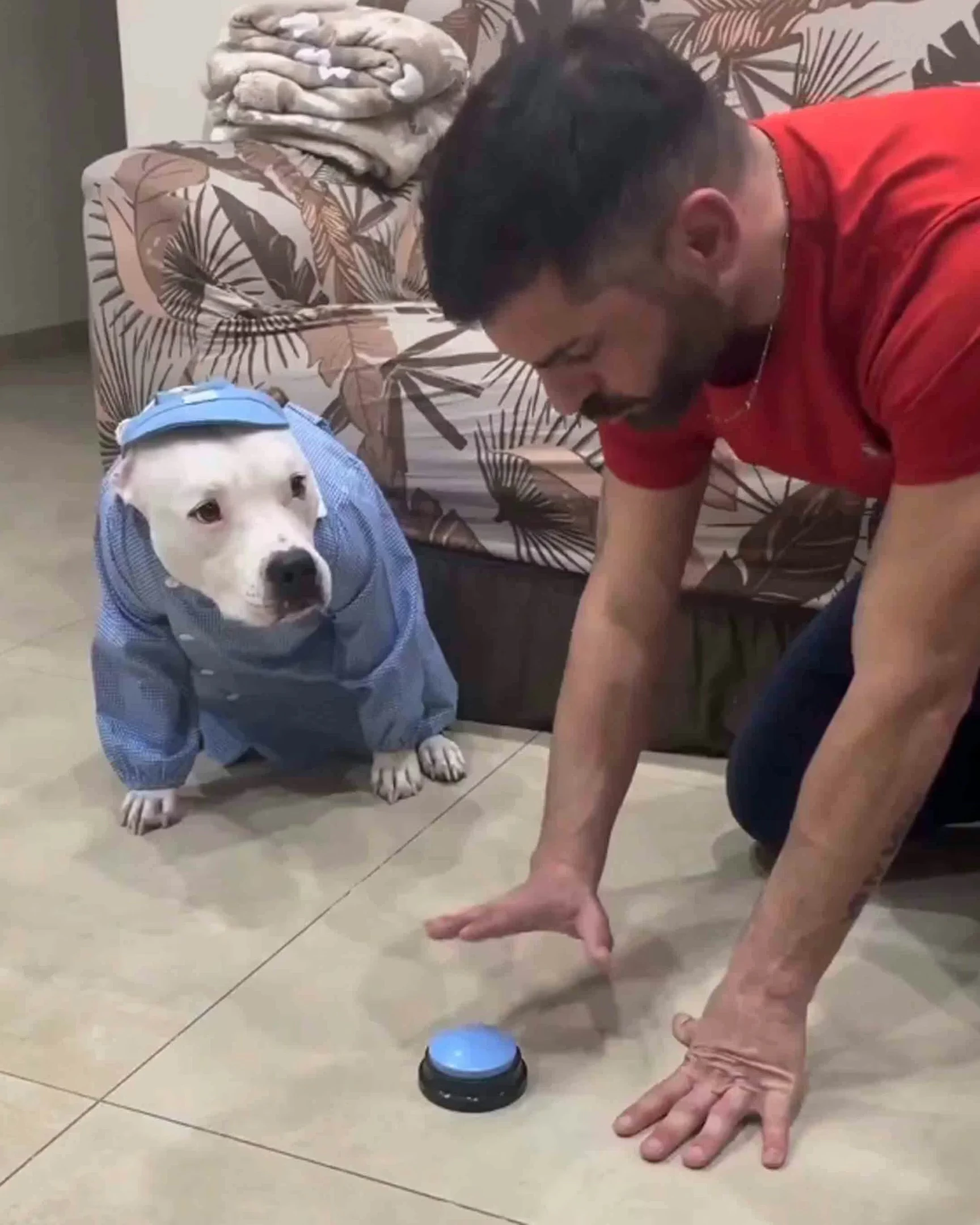 Daily Smile: Wednesday, February 4, 2026