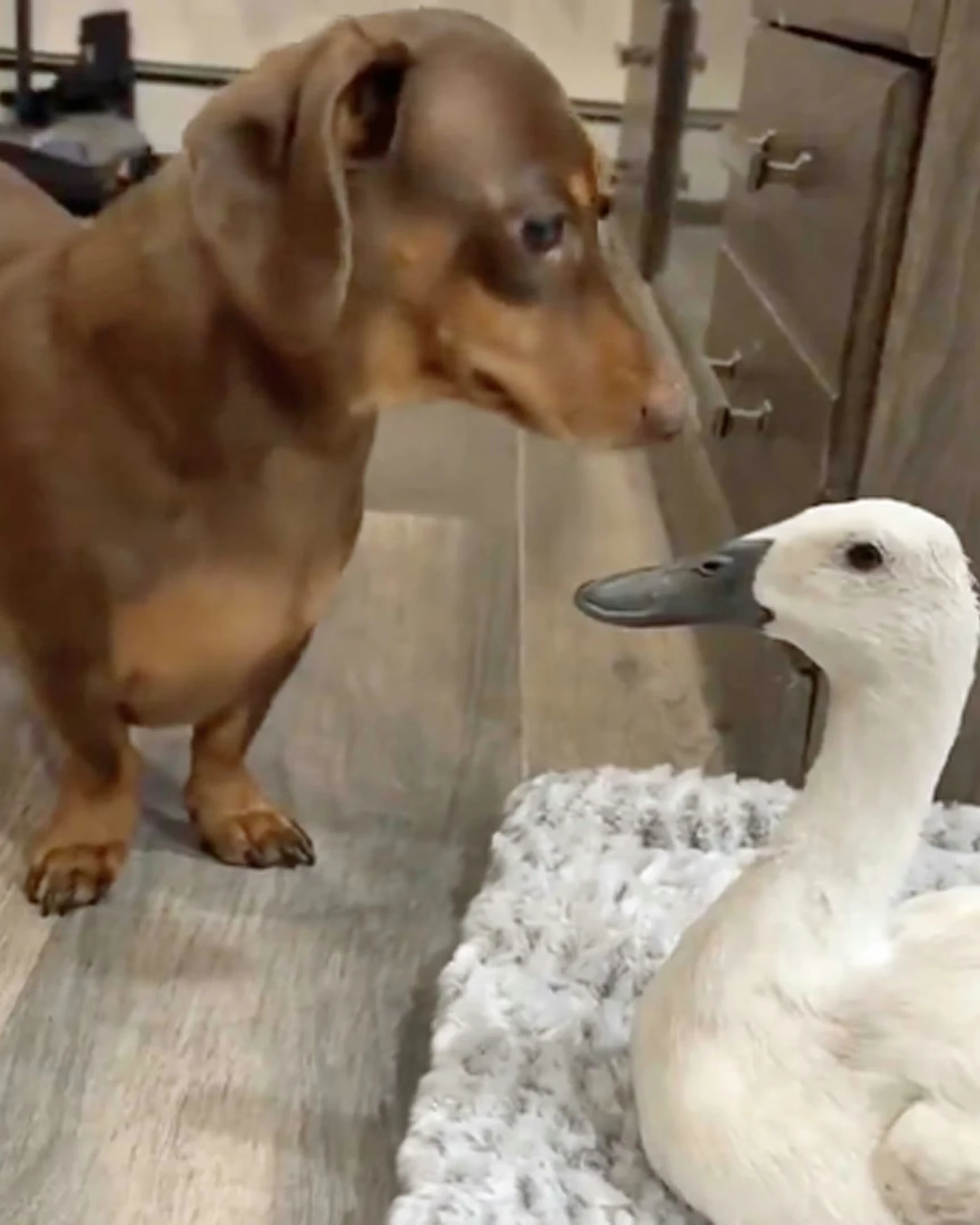 Daily Smile: Friday, February 6, 2026