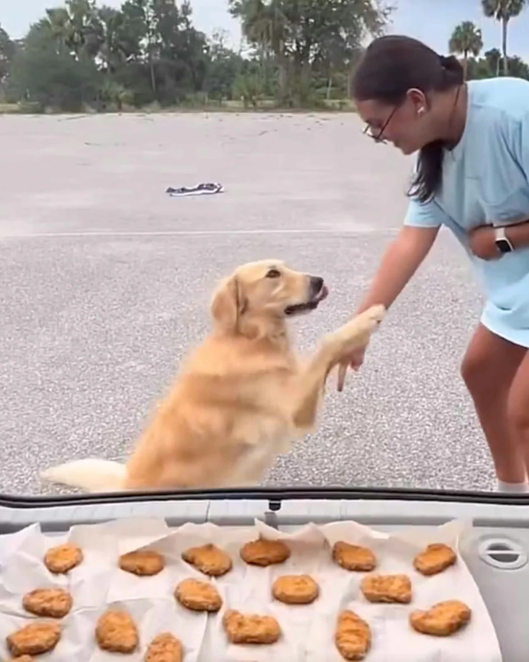 Daily Smile: Saturday, February 7, 2026