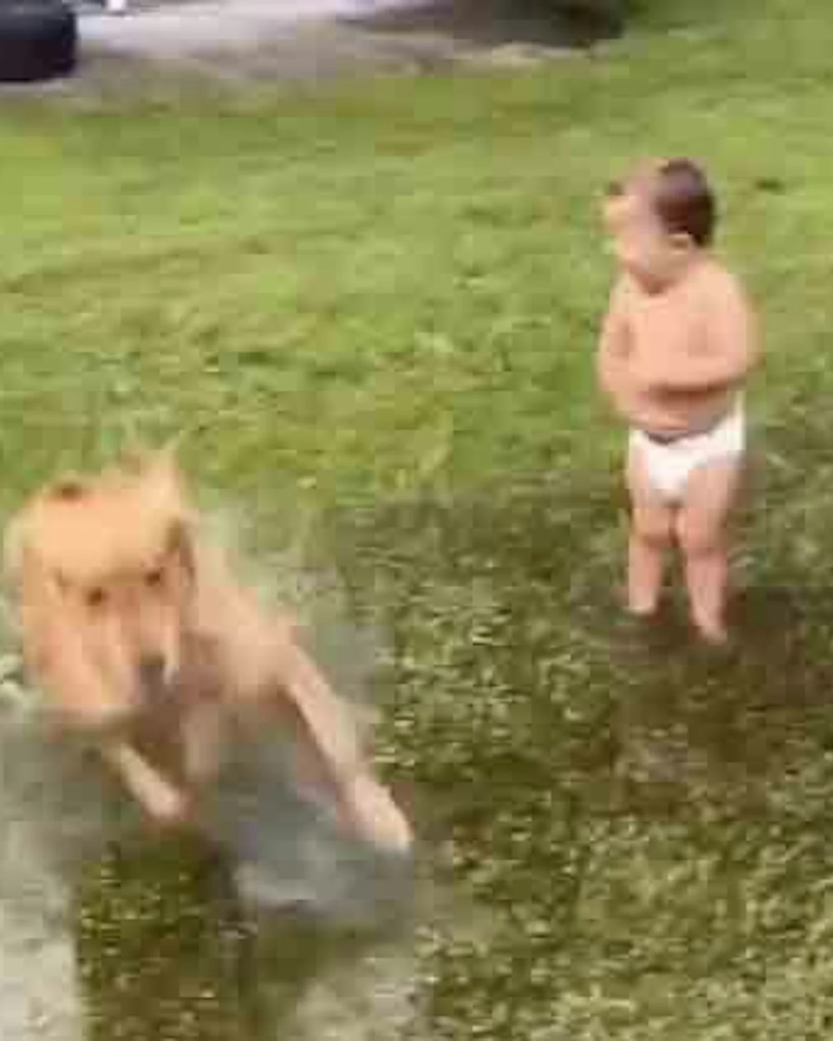 Daily Smile: Monday, February 9, 2026