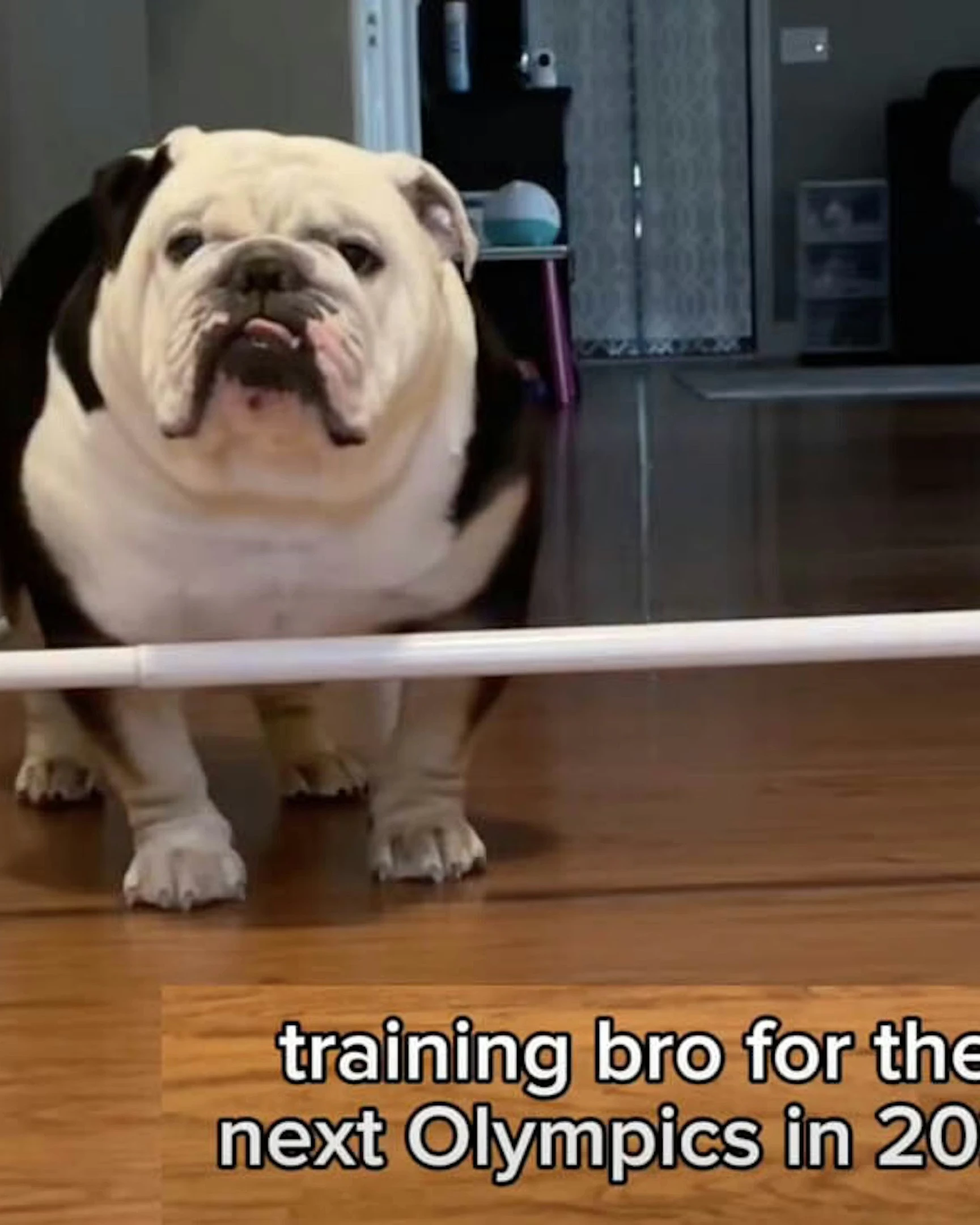 Daily Smile: Tuesday, March 3, 2026