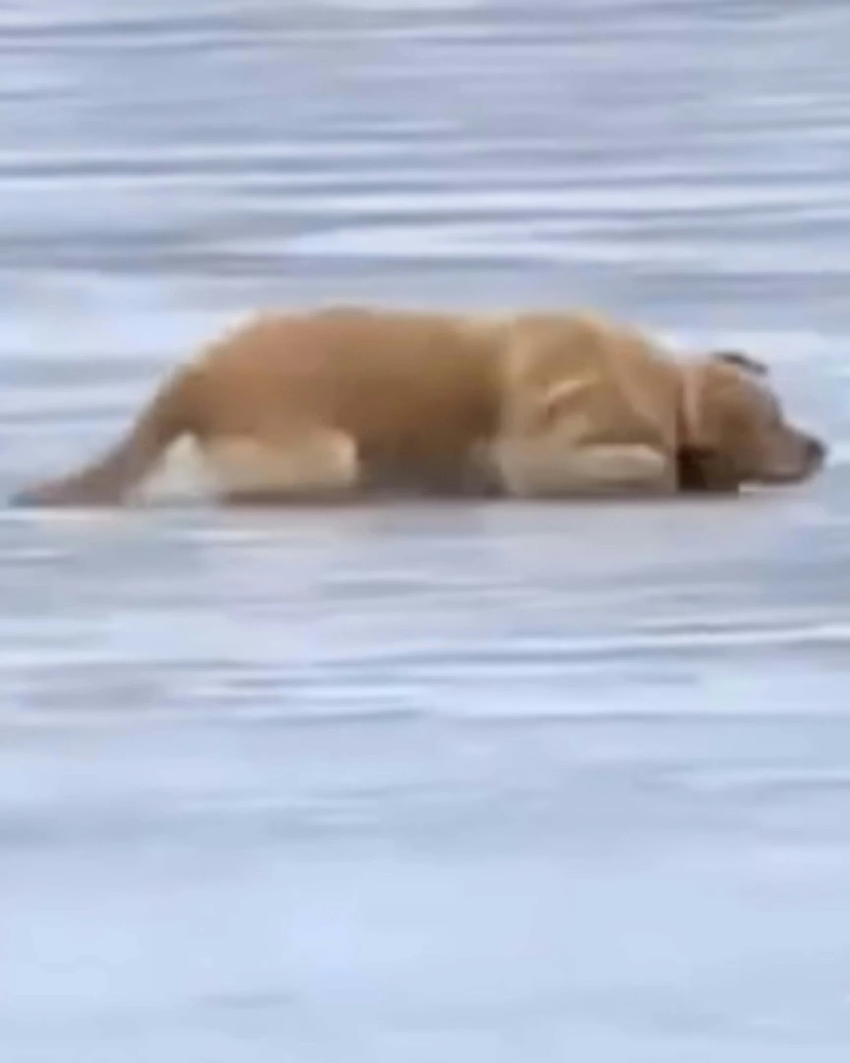 Daily Smile: Thursday, March 5, 2026