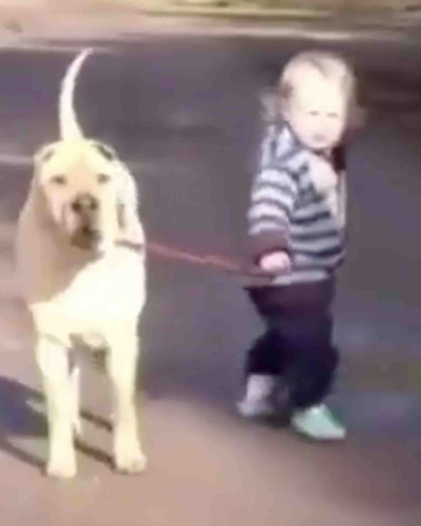 Daily Smile: Friday, March 6, 2026