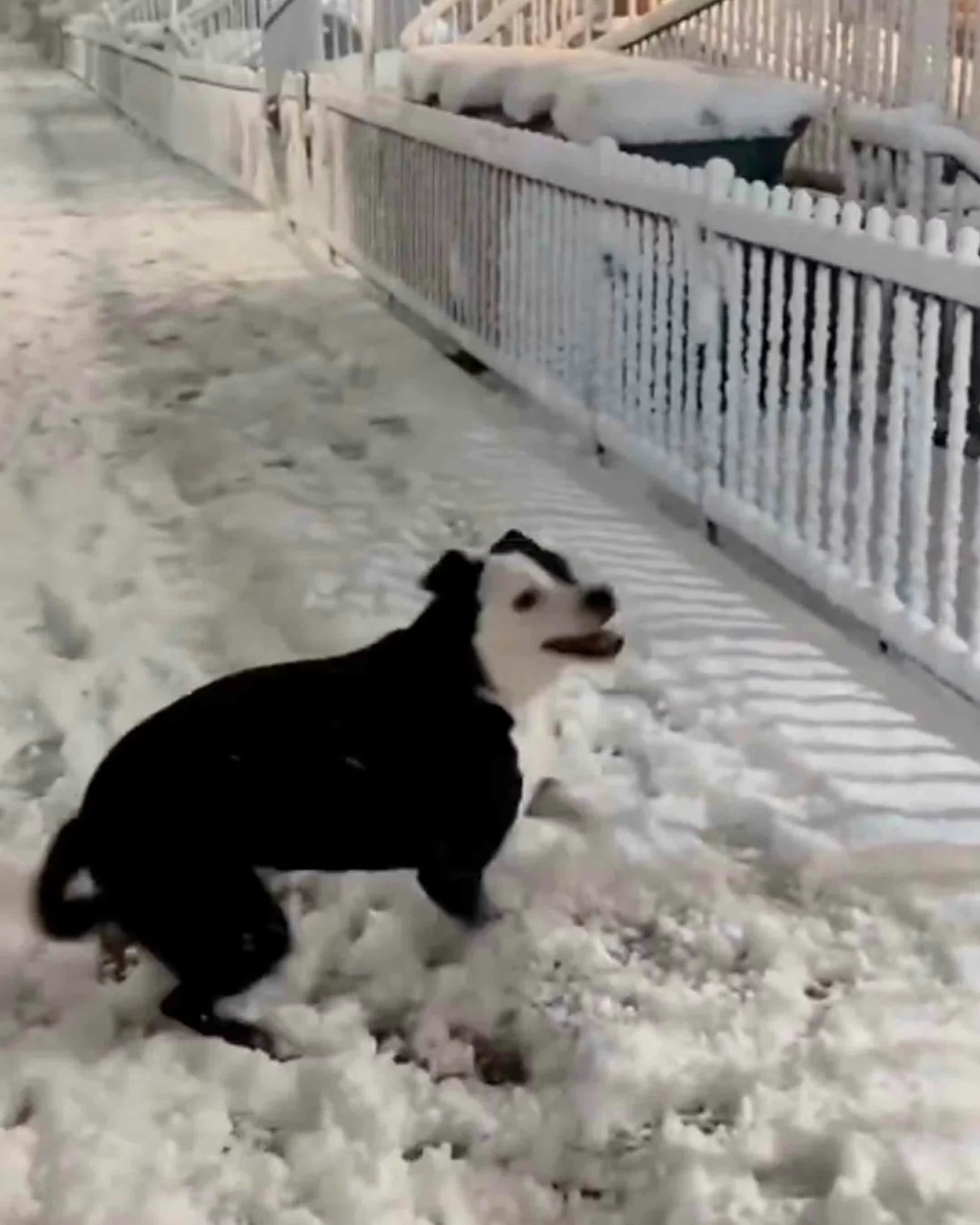 Daily Smile: Saturday, March 7, 2026