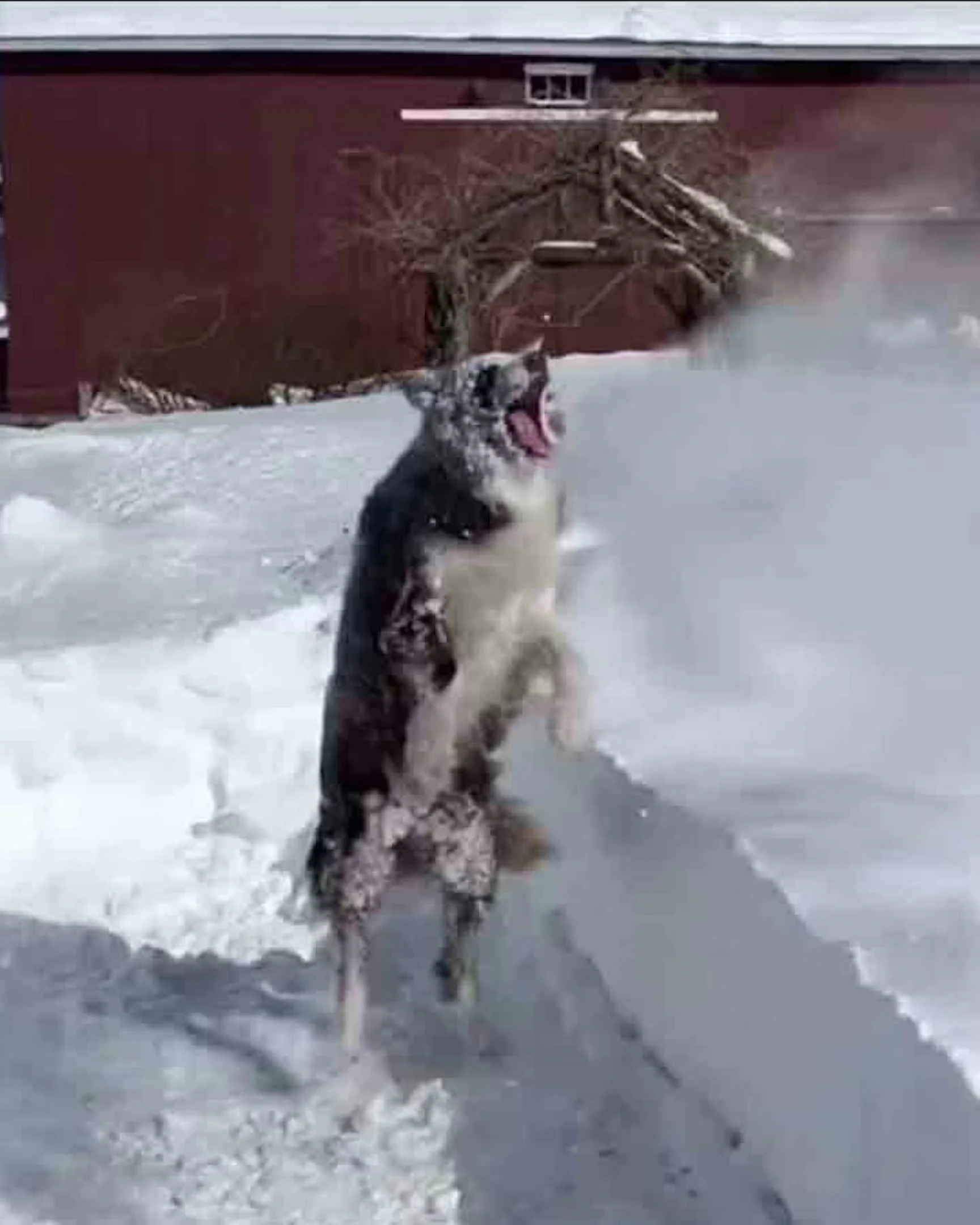 Daily Smile: Sunday, March 8, 2026