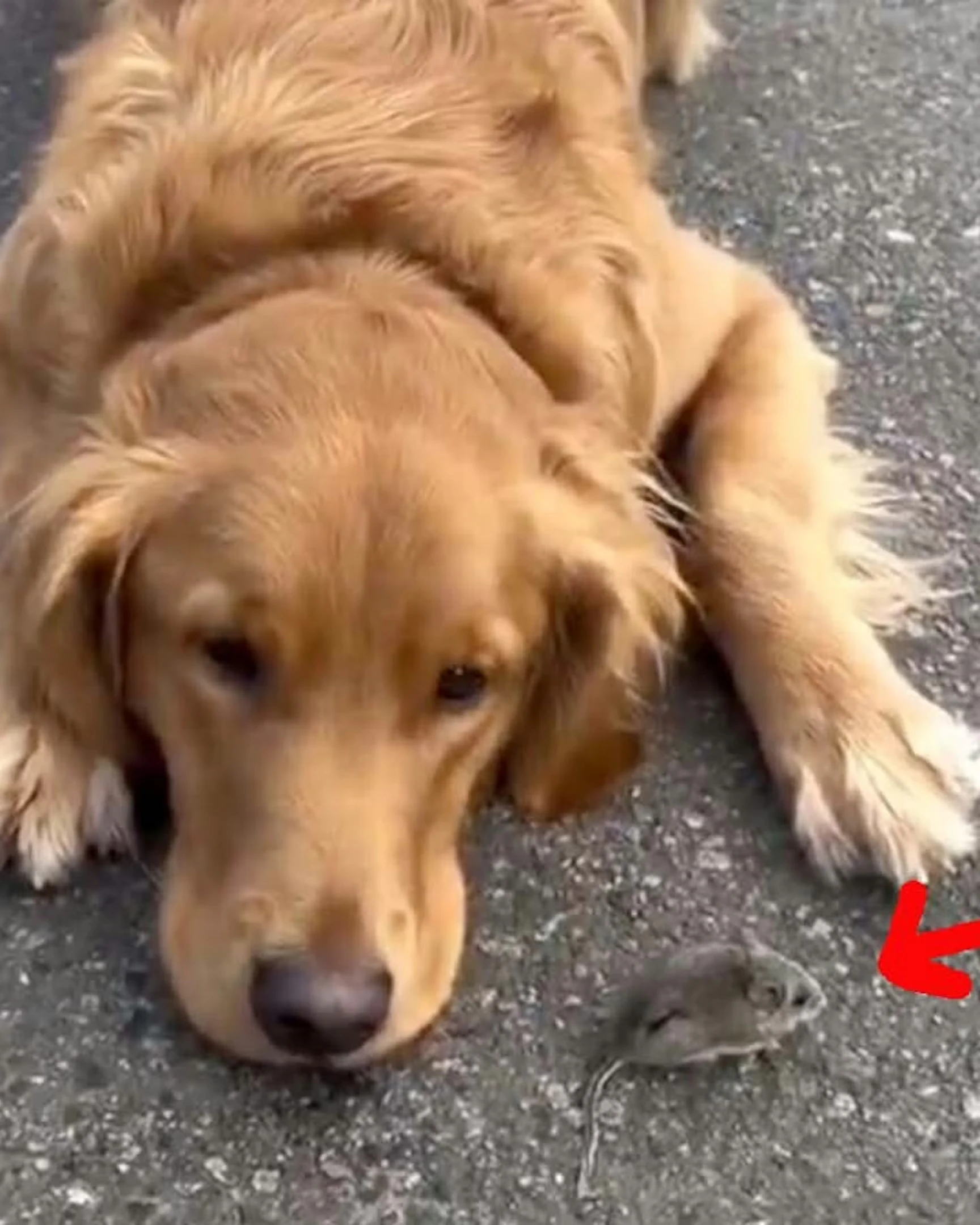 Daily Smile: Monday, March 9, 2026