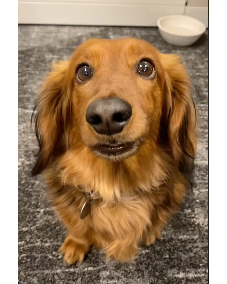 Daily Smile: Wednesday, April 1, 2026