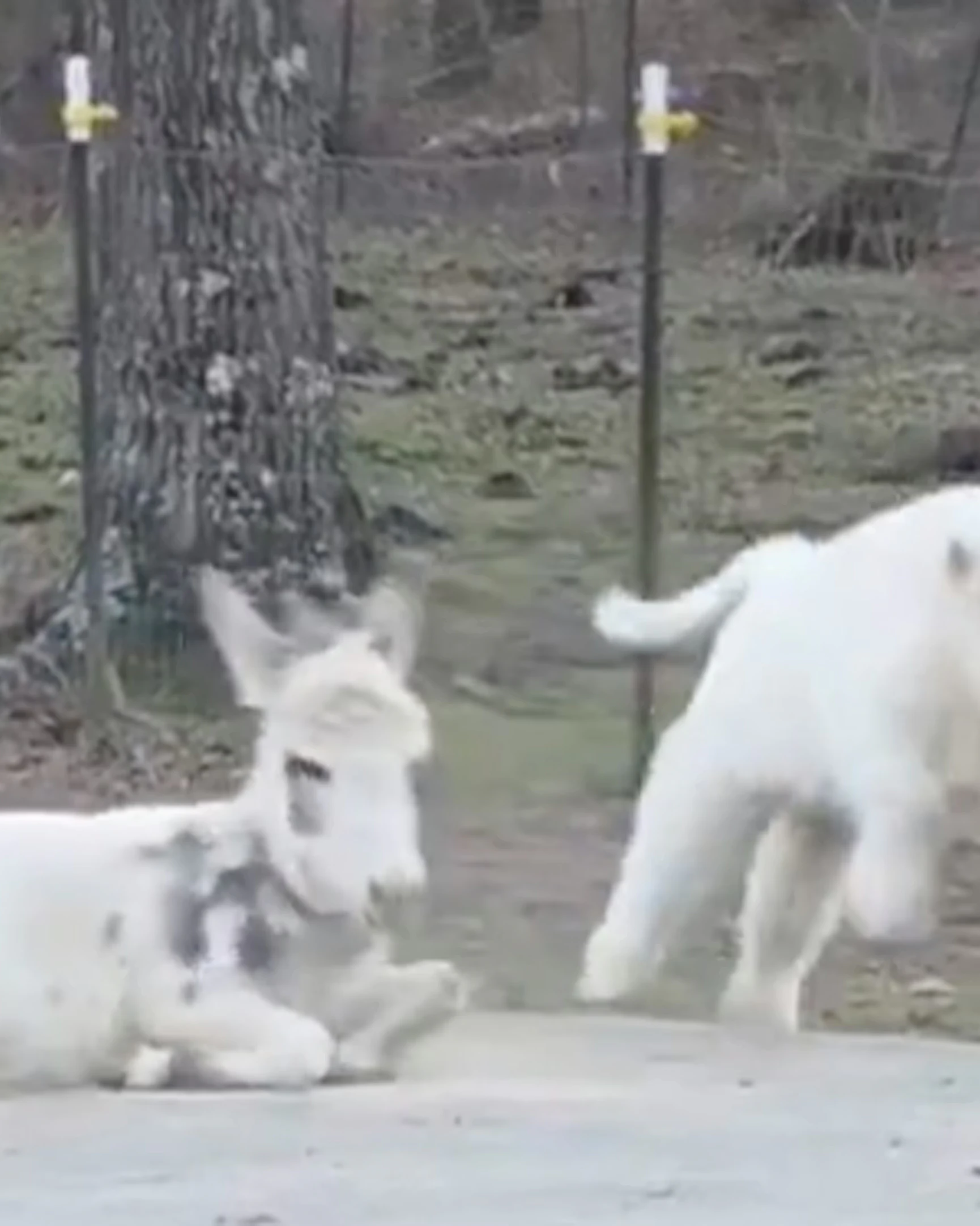 Daily Smile: Thursday, April 2, 2026