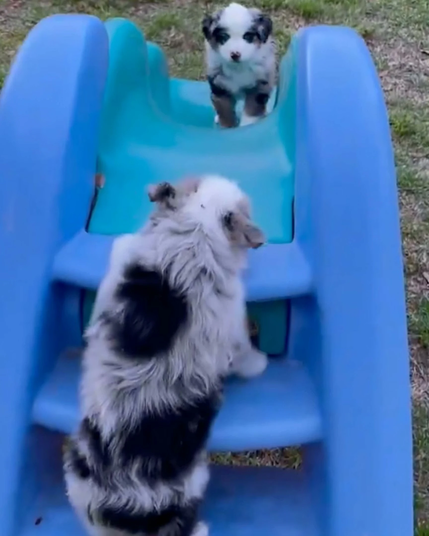 Daily Smile: Sunday, April 5, 2026