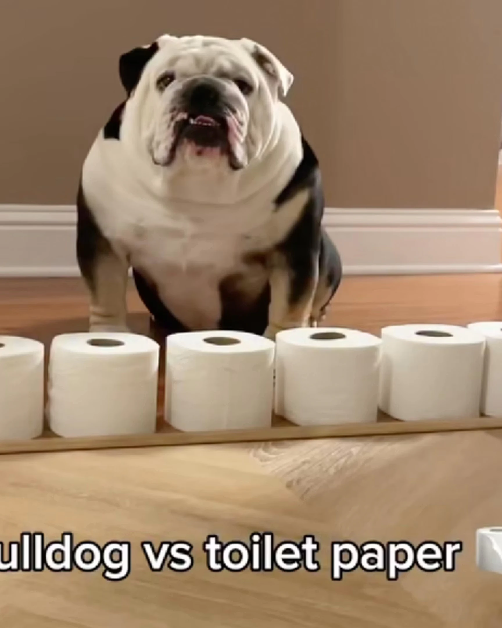 Daily Smile: Friday, July 3, 2026
