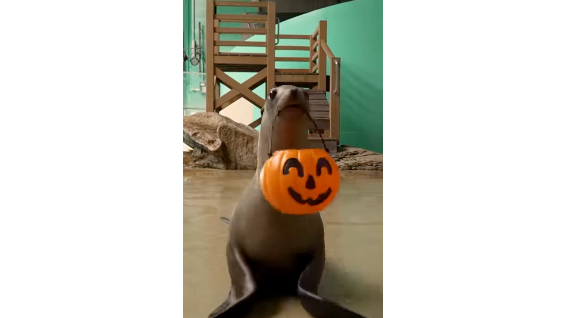 Smile 26 10 30