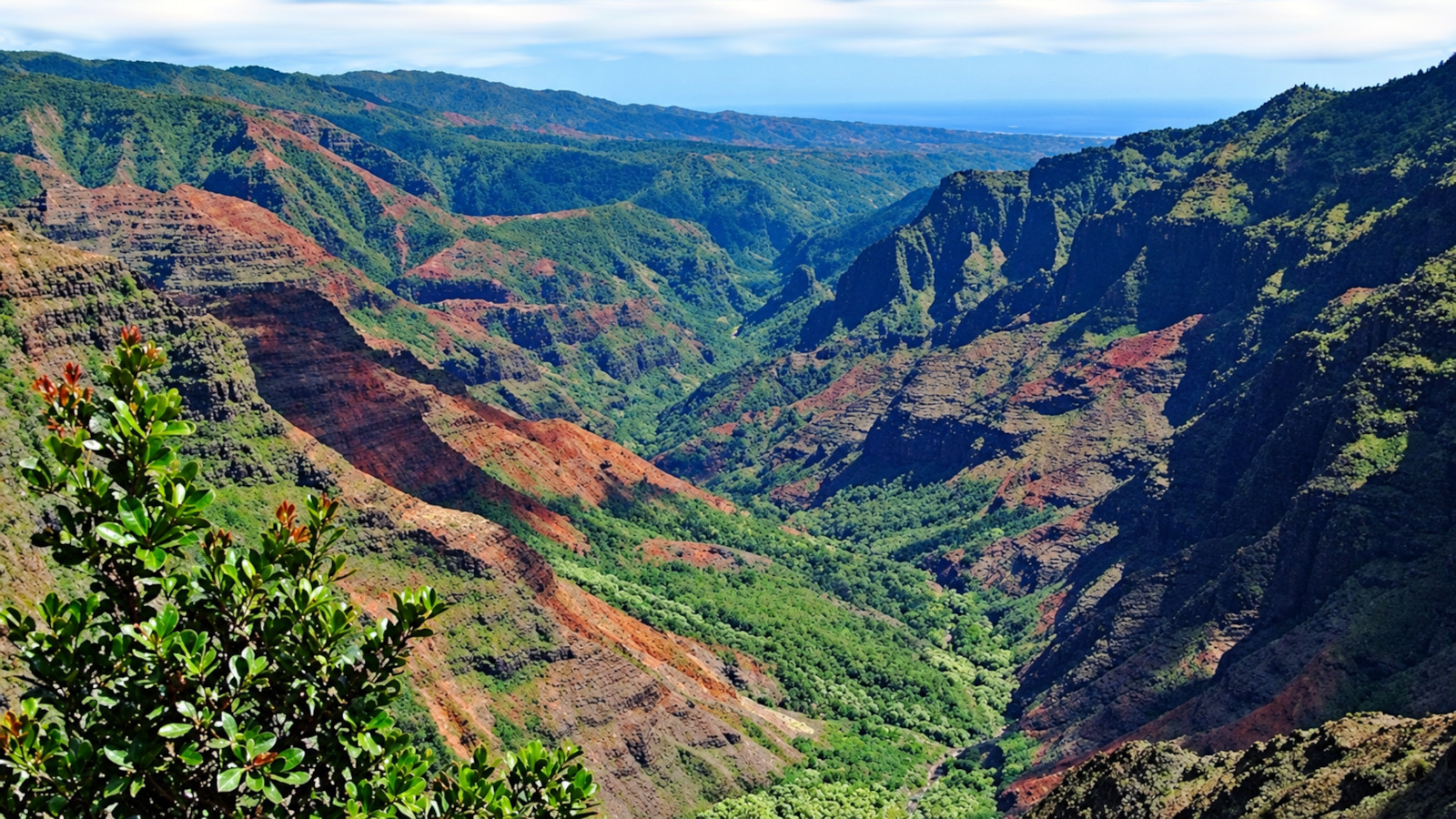 Waimea Canyon