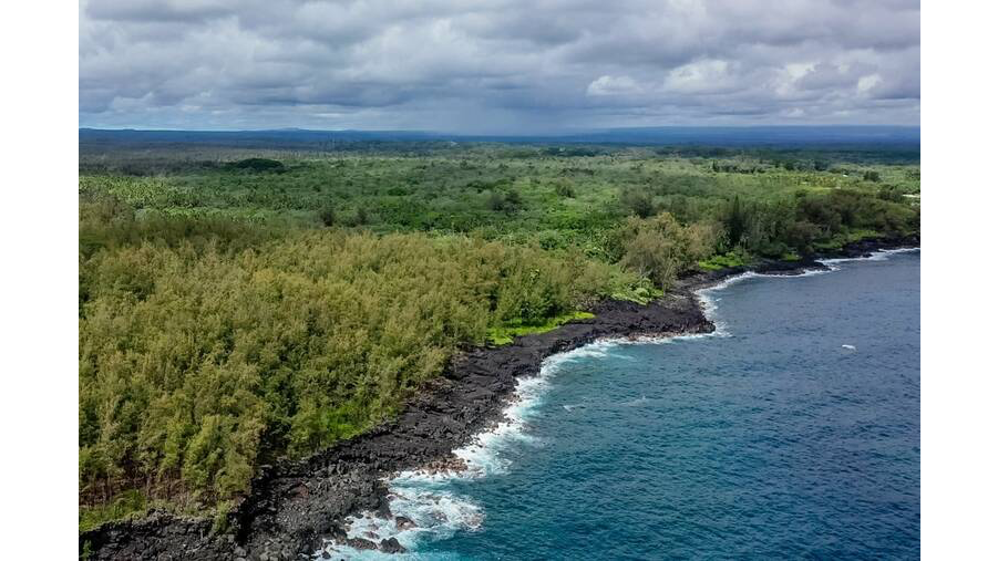 Honolulu Landing in Puna.